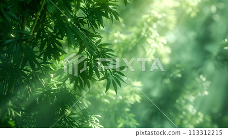 陽光照射下的竹葉在森林中營造出寧靜的散景效果。 陽光照射下的竹葉在森林中營造出寧靜的散景效果。 113312215