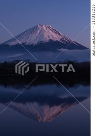 A spectacular view of Mt. Fuji at dusk from Lake Shojiko 113312219