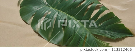 Curved palm leaf casting intricate shadows on sand Curved palm leaf casting intricate shadows on sand 113312406