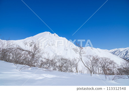 （群馬縣）嚴冬時從天神嶺眺望谷川山的壯麗景色 113312548