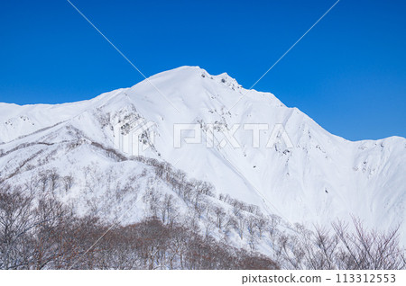 (Gunma Prefecture) A spectacular view of Mount Tanigawa in the harsh winter - the view from Tenjin Ridge (Gunma Prefecture) A spectacular view of Mount Tanigawa in the harsh winter - the view from Tenjin Ridge 113312553