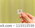 Hand holding bag closure 113313530