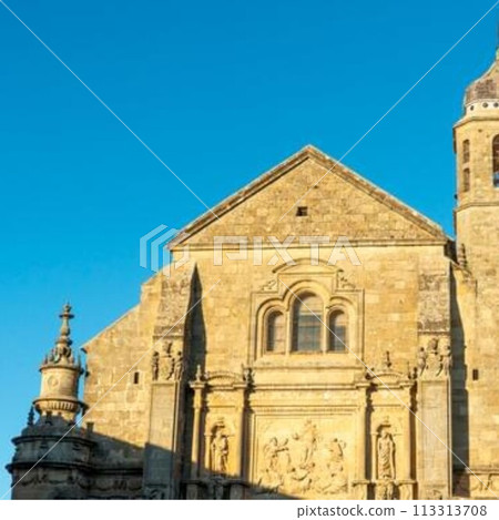 St. Martin's Church against the blue sky 113313708