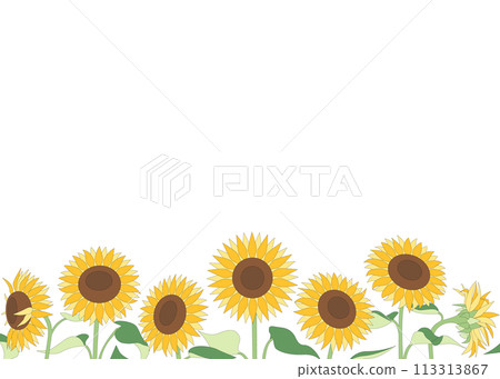 簡單的向日葵背景素材，夏季壁紙，相框 113313867