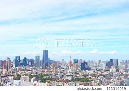 Tokyo, Tokyo cityscape and Tokyo Tower landscape 113314039