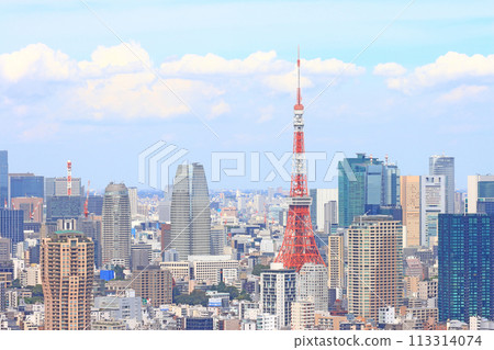 東京,東京城市景觀和東京鐵塔景觀 東京,東京城市景觀和東京鐵塔景觀 113314074