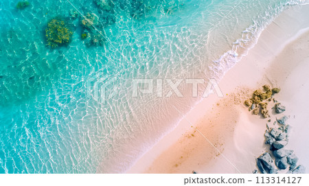 清澈的藍色海灘 113314127