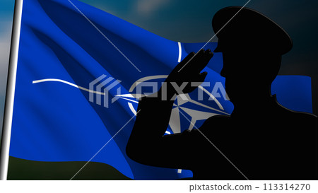 The silhouette of a soldier salutes the Nato flag 113314270