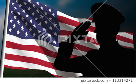 The silhouette of a soldier salutes the USA flag 113314271