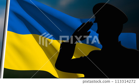 The silhouette of a soldier salutes the Ukrainian flag 113314272