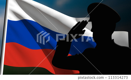 The silhouette of a soldier salutes the Russia flag 113314273