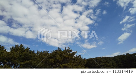 稻毛海岸的藍天白雲 113314419