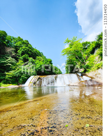 Shigetsu Otaki Shigetsu Otaki 113314450