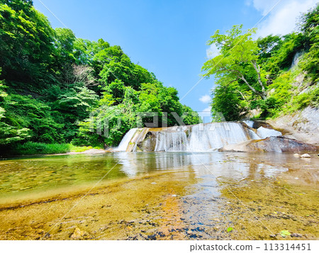 Shigetsu Otaki 113314451