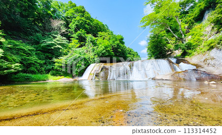 Shigetsu Otaki 113314452