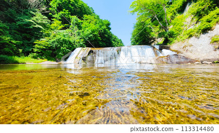 Shigetsu Otaki 113314480