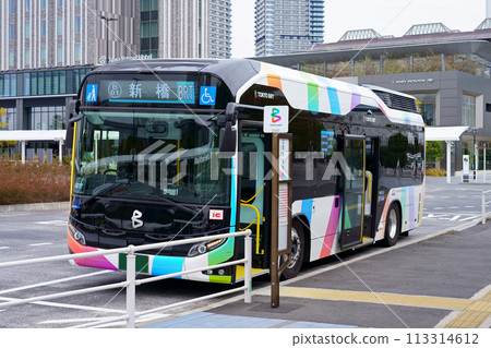 Tokyo BRT (TOYOTA SORA) bound for Shimbashi, stopped at Kokusai Tenjijo Station 113314612