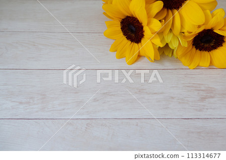 Sunflowers on old boards, sunflower flowers decorated with Jupiter background 113314677