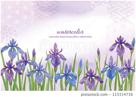 日式水彩背景與水彩手繪鳶尾花 日式水彩背景與水彩手繪鳶尾花 113314738