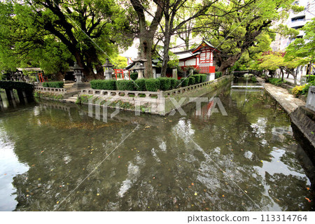 Saga Shrine Outer Garden - Scenery of the water town of Saga City Saga Shrine Outer Garden - Scenery of the water town of Saga City 113314764