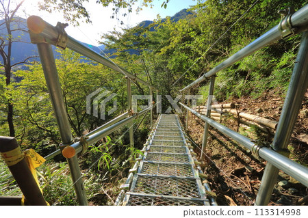 神奈川縣足柄郡千代之澤園地的橋樑 神奈川縣足柄郡千代之澤園地的橋樑 113314998