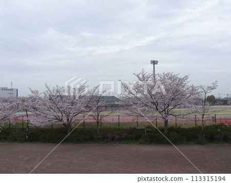四月風景 113315194