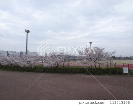 四月風景 四月風景 113315196