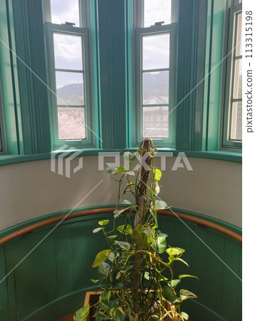 西式現代窗戶與植物 113315198