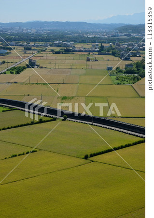 Zheng Han Trail 113315359