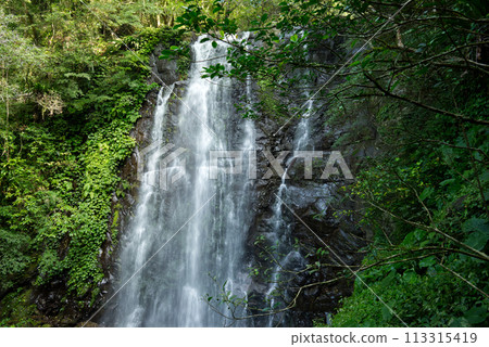 滿月圓國家森林遊樂區 113315419