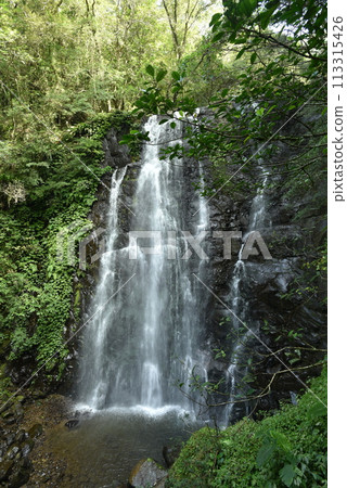 滿月圓國家森林遊樂區 113315426