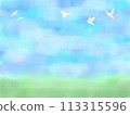Sky background with flying birds 113315596