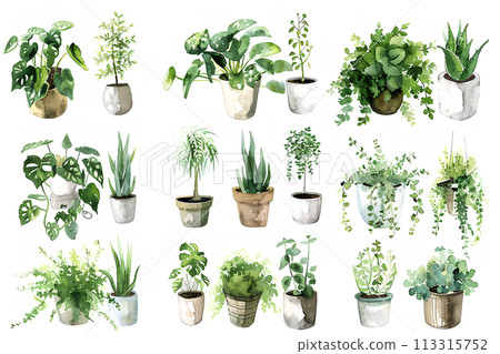 室內植物的收集插圖-2 113315752