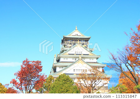 Scenery of Osaka Castle, Osaka City, Osaka Prefecture 113315847