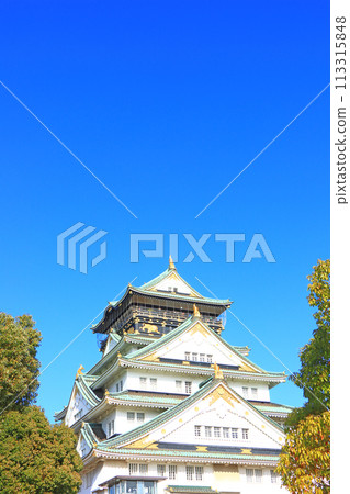 大阪府大阪市大阪城風景 113315848