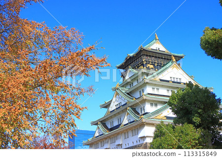 Scenery of Osaka Castle, Osaka City, Osaka Prefecture 113315849