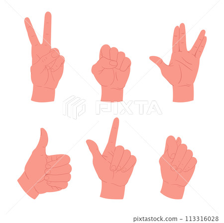 Hands gestures. Cartoon human palm, thumb up, ok and peace signs flat vector illustration set. People hands collection Hands gestures. Cartoon human palm, thumb up, ok and peace signs flat vector illustration set. People hands collection 113316028