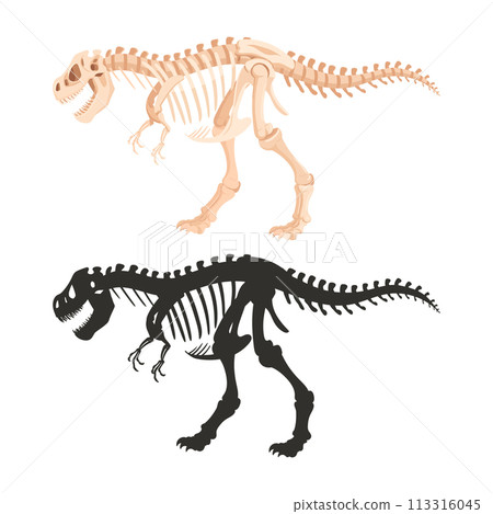 Tyrannosaurus skeleton silhouettes. Cartoon archaeological dinosaur fossil bones, jurassic tyrannosaurus raptor flat vector illustration. Ancient t-rex fossil skeleton Tyrannosaurus skeleton silhouettes. Cartoon archaeological dinosaur fossil bones, jurassic tyrannosaurus raptor flat vector illustration. Ancient t-rex fossil skeleton 113316045