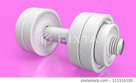 The white dumbbell for health or fitness concept 3d rendering. 113316180