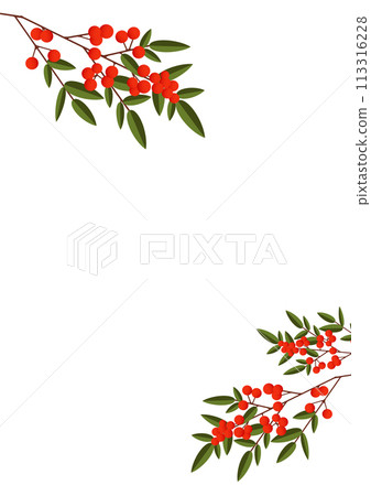 南部天空的分支 113316228