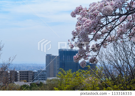 寶塚遠景 寶塚遠景 113316333