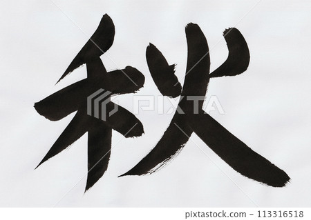 Autumn handwritten letters written with a brush Autumn handwritten letters written with a brush 113316518