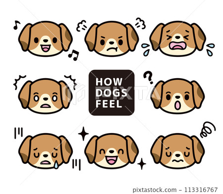 可愛的小獵犬角色的情緒、憤怒、悲傷插圖集 可愛的小獵犬角色的情緒、憤怒、悲傷插圖集 113316767