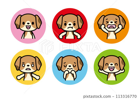 一組面向前方的可愛小獵犬的各種面部表情圖標 113316770