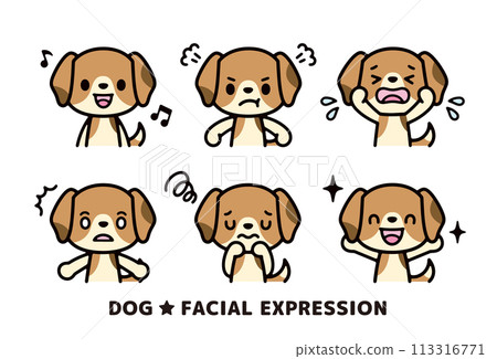 Illustration set of various facial expressions of a cute beagle dog facing forward 113316771