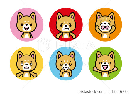 A set of cute Shiba Inu dogs facing forward with various facial expressions 113316784