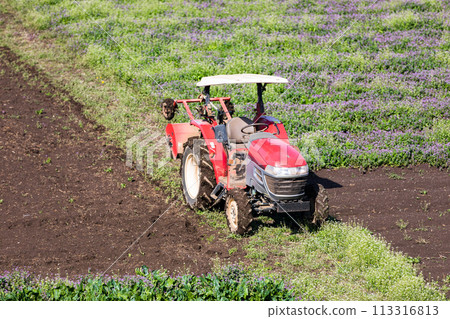 Agricultural machine red tractor plowing the farm field Agricultural machine red tractor plowing the farm field 113316813