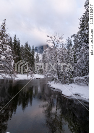 Yosemite Valley along the Merced River 113316847