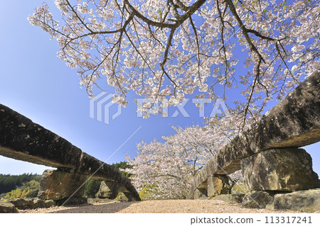 Okubo bridge and cherry blossoms Okubo bridge and cherry blossoms 113317241