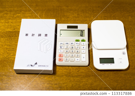 總務省統計局住戶調查 113317886